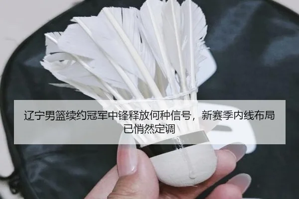 辽宁男篮续约冠军中锋释放何种信号，新赛季内线布局已悄然定调 - kaiyun